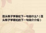 蓬头稚子学垂纶下一句是什么?（蓬头稚子学垂纶的下一句简介介绍）