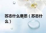 苏志什么意思（苏志什么）