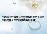 小池写的什么季节什么地方的景色（小池写的是什么季节的景色简介介绍）