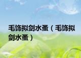 毛饰拟剑水蚤（毛饰拟剑水蚤）