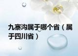 九寨沟属于哪个省（属于四川省）