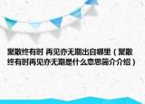 聚散终有时 再见亦无期出自哪里（聚散终有时再见亦无期是什么意思简介介绍）