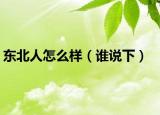东北人怎么样（谁说下）