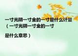 一寸光阴一寸金的一寸是什么计量（一寸光阴一寸金的一寸|是什么意思）