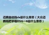 迈腾自动挡ds是什么意思（大众迈腾档把字母DSG一6是什么意思）