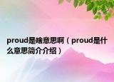 proud是啥意思啊（proud是什么意思简介介绍）