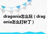 dragonia怎么玩（dragonia怎么打补丁）