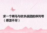求一个骑马与砍杀战团的序列号（感激不尽）