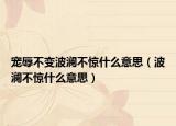 宠辱不变波澜不惊什么意思（波澜不惊什么意思）