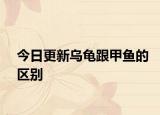 今日更新乌龟跟甲鱼的区别
