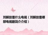 刘解放是什么电视（刘解放是哪部电视剧简介介绍）
