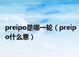 preipo是哪一轮（preipo什么意）