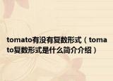 tomato有没有复数形式（tomato复数形式是什么简介介绍）