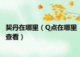 契丹在哪里（Q点在哪里查看）