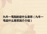 九牛一毛指的是什么意思（九牛一毛是什么意思简介介绍）