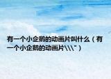 有一个小企鹅的动画片叫什么（有一个小企鹅的动画片\