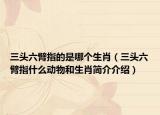 三头六臂指的是哪个生肖（三头六臂指什么动物和生肖简介介绍）