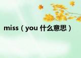 miss（you 什么意思）