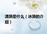 清漪是什么（冰漪的介绍）