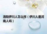 洛阳伊川人怎么样（伊川人是河南人吗）