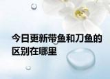 今日更新带鱼和刀鱼的区别在哪里