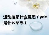 运动挡是什么意思（ydd是什么意思）