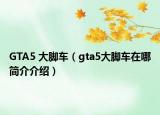 GTA5 大脚车（gta5大脚车在哪简介介绍）