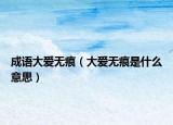 成语大爱无痕（大爱无痕是什么意思）