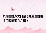 九阴真经八大门派（九阴真经哪个门派好简介介绍）