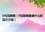 it与互联网（it互联网是做什么的简介介绍）