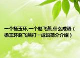 一个杨玉环,一个赵飞燕,什么成语（杨玉环赵飞燕打一成语简介介绍）