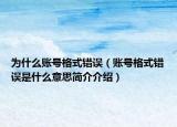 为什么账号格式错误（账号格式错误是什么意思简介介绍）