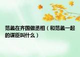 范蠡在齐国做丞相（和范蠡一起的谋臣叫什么）
