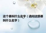 这个番叫什么名字（请问这部番叫什么名字）