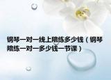 钢琴一对一线上陪练多少钱（钢琴陪练一对一多少钱一节课）