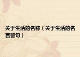 关于生活的名称（关于生活的名言警句）