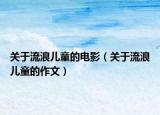 关于流浪儿童的电影（关于流浪儿童的作文）