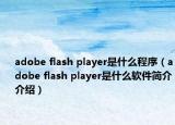 adobe flash player是什么程序（adobe flash player是什么软件简介介绍）