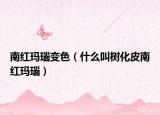 南红玛瑙变色（什么叫树化皮南红玛瑙）