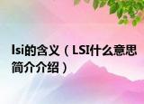 lsi的含义（LSI什么意思简介介绍）