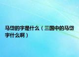 马岱的字是什么（三国中的马岱字什么啊）