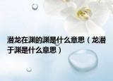 潜龙在渊的渊是什么意思（龙潜于渊是什么意思）