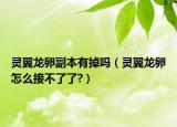 灵翼龙卵副本有掉吗（灵翼龙卵怎么接不了了?）