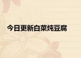 今日更新白菜炖豆腐