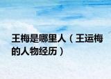 王梅是哪里人（王运梅的人物经历）