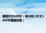 暖爱作文600字（高中高三作文1000字暖暖的爱）