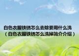 白色衣服铁锈怎么去除要用什么洗（白色衣服铁锈怎么洗掉简介介绍）