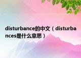disturbance的中文（disturbances是什么意思）