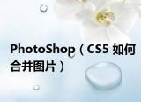 PhotoShop（CS5 如何合并图片）