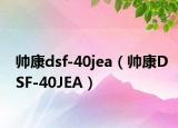 帅康dsf-40jea（帅康DSF-40JEA）